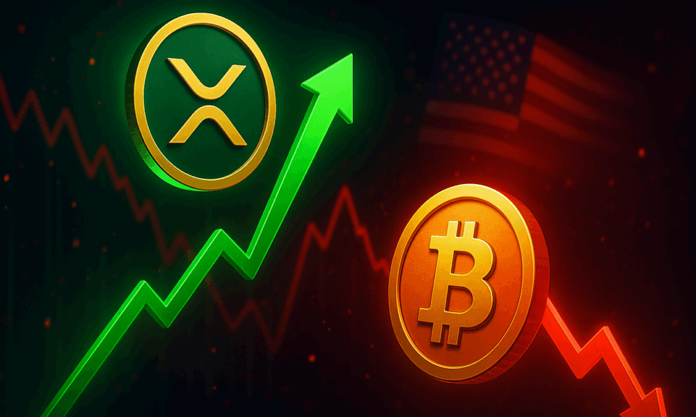 XRP Gains 3 Percent as Bitcoin Drops to 102K Ahead of April US Inflation Data